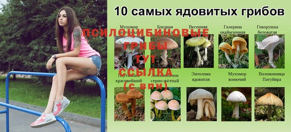прущие крисы Балахна