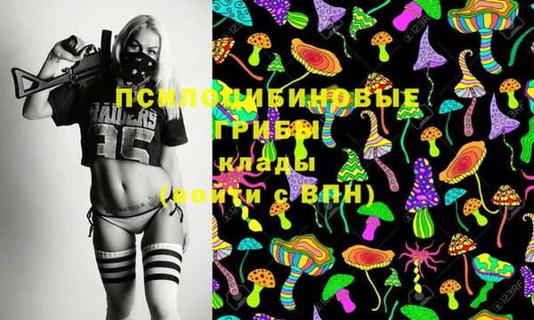 гидропоника Балабаново