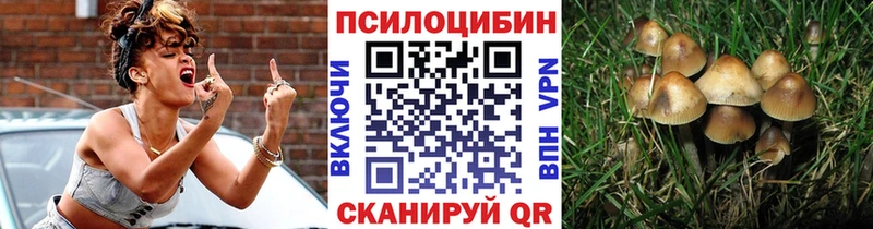 Псилоцибиновые грибы мицелий  Купить  Алексин 